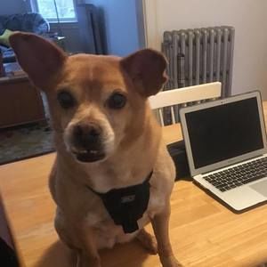 Meet your Posher, Angel